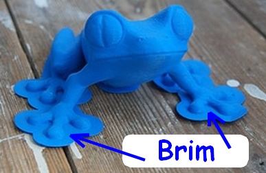 brim1